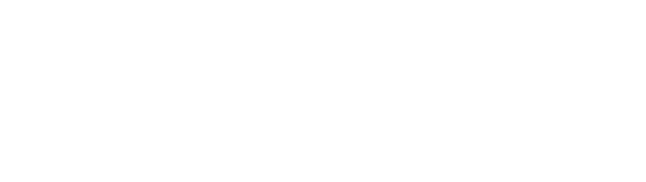 Lifetime Therapy Services Gold Coast